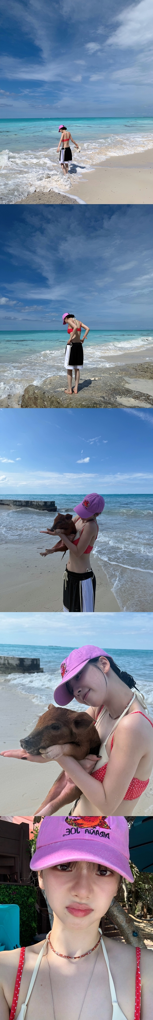 バハマの浜辺で赤い水着と黒白のハーフパンツを着て、子ブタに顔を寄せるカリナさん
