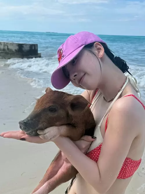 バハマのビーチで、ピンクのキャップと赤い水着を着て子ブタを抱くaespa・カリナさん